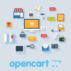 professional opencart service