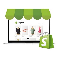 professional shopify store service